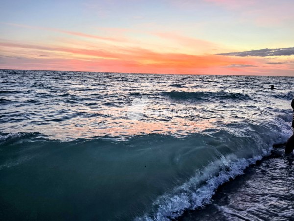 Tides of Wonder