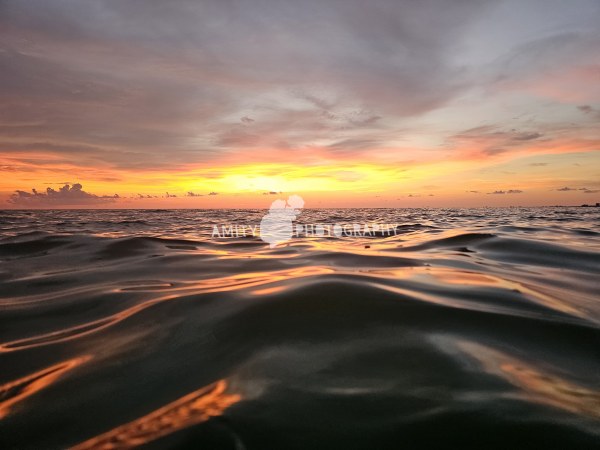 Tides of Wonder